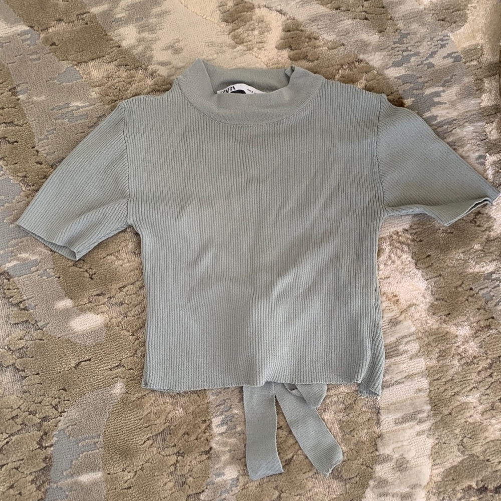 Zara crop top